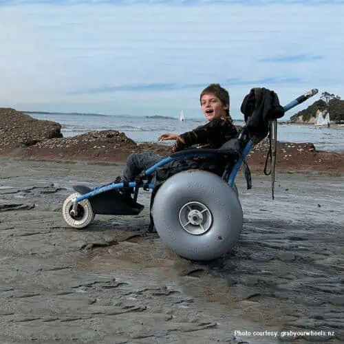 hippocampe conversion kit