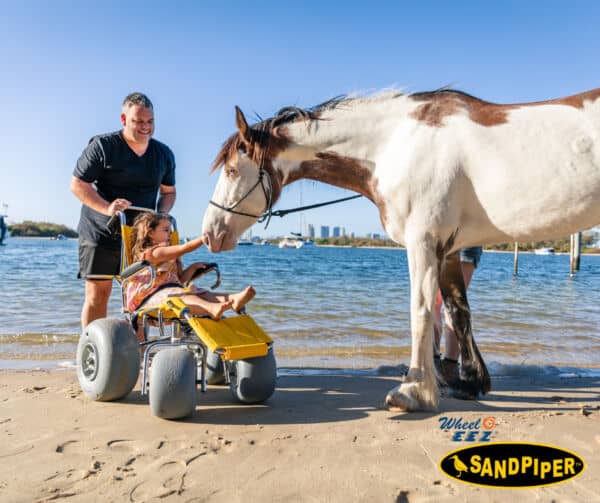 sandpiper beach wheelchairs