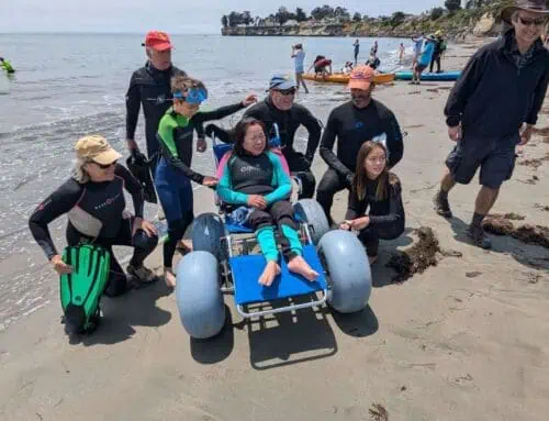 Day On The Beach 2024: A Celebration of Inclusion and Accessibility
