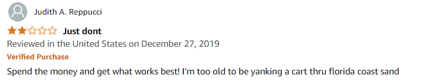 judith Malone balloon beach wheel